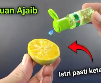 Bukan yang Diminta Cak Imin, Berikut Campuran Jeruk Nipis dan Minyak Kayu Putih yang Bikin Istri Bahagia