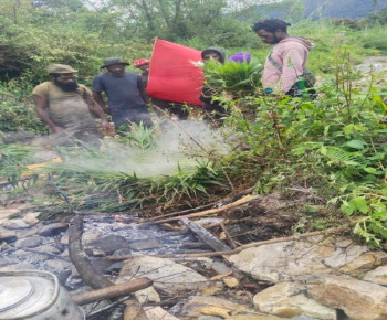 Rayakan Harlah ke 62, Ini Pesan BPW KNPB Wilayah Paniai Sektor Obano dan Pogitamo
