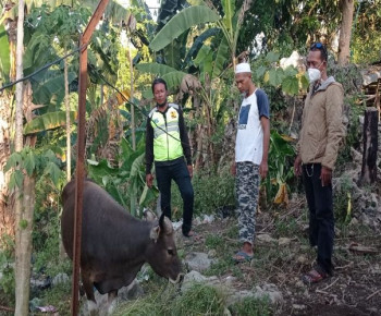 PT. ANK dan PT. KAJ Bekerja dengan Landasaan Peraturan Perundang-undangan