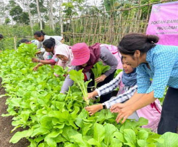 Perempuan dan Budidaya Hortikultura di Poco Leok, GM PLN UIP Nusra: Meneruskan Perjuangan RA Kartini