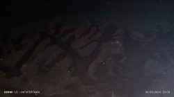 1001475606