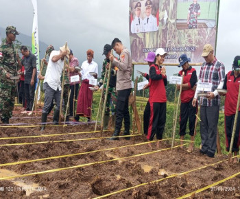 Antisipasi Kerawanan Pangan, Pemda Manggarai Kolaborasi dengan TNI AD Jaga Ketahanan Pangan