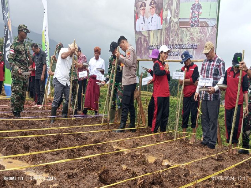 Antisipasi Kerawanan Pangan, Pemda Manggarai Kolaborasi dengan TNI AD Jaga Ketahanan Pangan