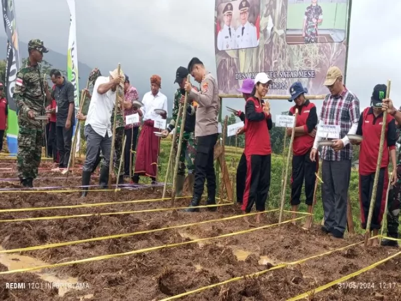 Antisipasi Kerawanan Pangan, Pemda Manggarai Kolaborasi dengan TNI AD Jaga Ketahanan Pangan