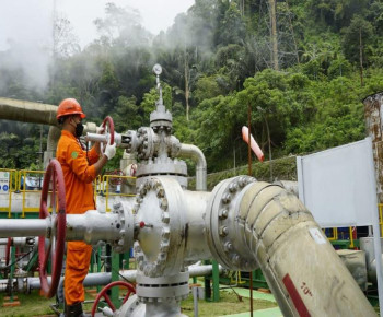 PLTP Ulumbu Eksisting Serap Tenaga Kerja Lokal hingga 97%, Pencaharian bagi Warga Sekitar