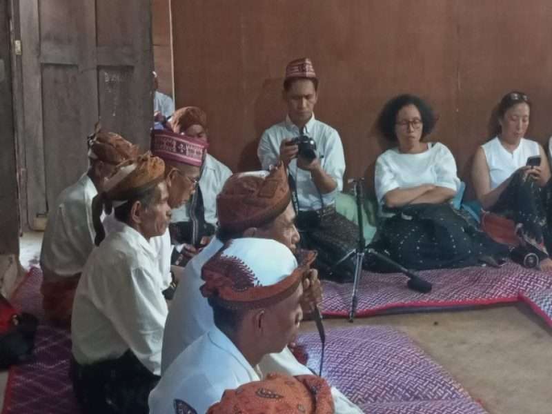 Terang Listrik PLN