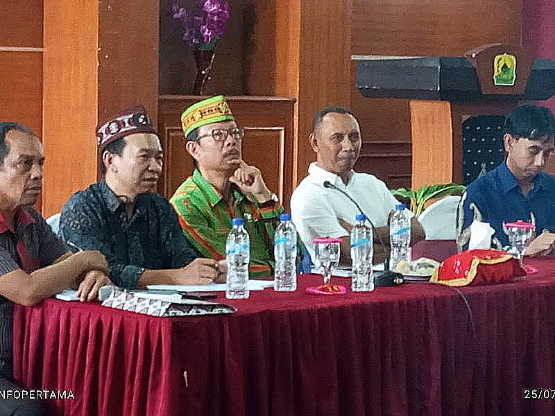 Aktivis Anti Tambang Ferdy Hasiman Dukung Penuh Pengembangan Geothermal di Flores