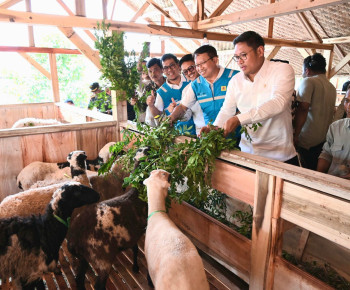 Terus Kembangkan Bahan Co-Firing Biomassa, PLN Bersama Kementan Luncurkan Model Pertanian Terpadu