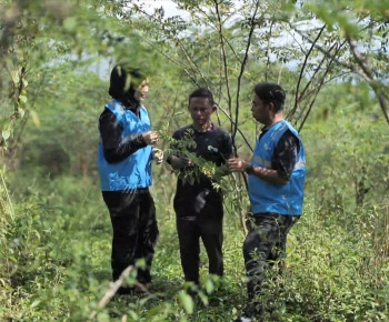 Pengembangan Biomassa PLN di Tasikmalaya: Dikelola Masyarakat, Didukung Pemerintah