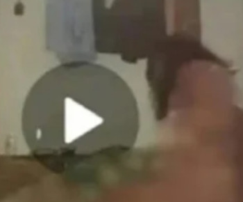 MR Viral di Medsos Gegara Video Asusila Inses Durasi 3 Menit, Ternyata Sengaja Direkam