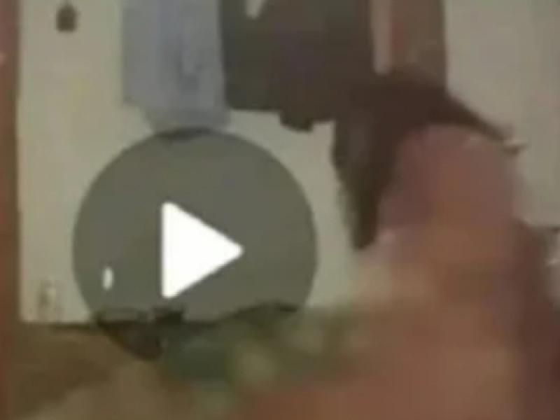 MR Viral di Medsos Gegara Video Asusila Inses Durasi 3 Menit, Ternyata Sengaja Direkam