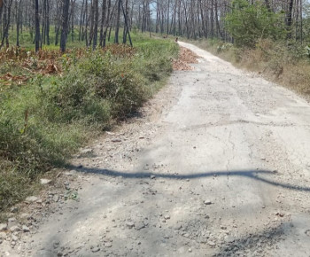 Sempringah, Jalan Bleboh-Nglebur Akhirnya Dibangun