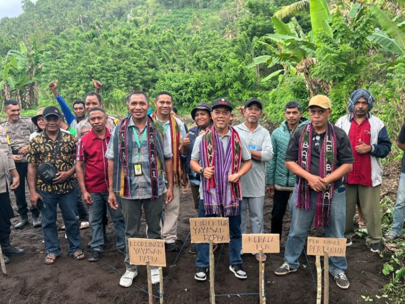 Gencarkan Program TJSL sekitar PLTP Atadei, PLN UIP Nusra Salurkan Bantuan untuk Kelompok Tani dan Pembangunan Gereja di Lembata