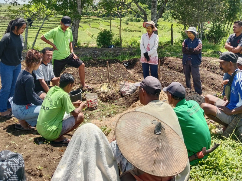 Mahasiswa Magang Latih Petani Membuat Pupuk Organik Cair dan Arang Sekam