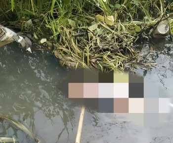 Viral Penemuan Sosok Jazad Bayi di Lembor, Ini Penjelasan Kapolsek