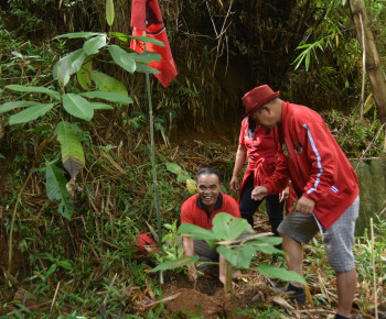 Berpolitik Sembari Merawat Alam, PDIP Manggarai Tanam Pohon di Sekitar Wae Reget