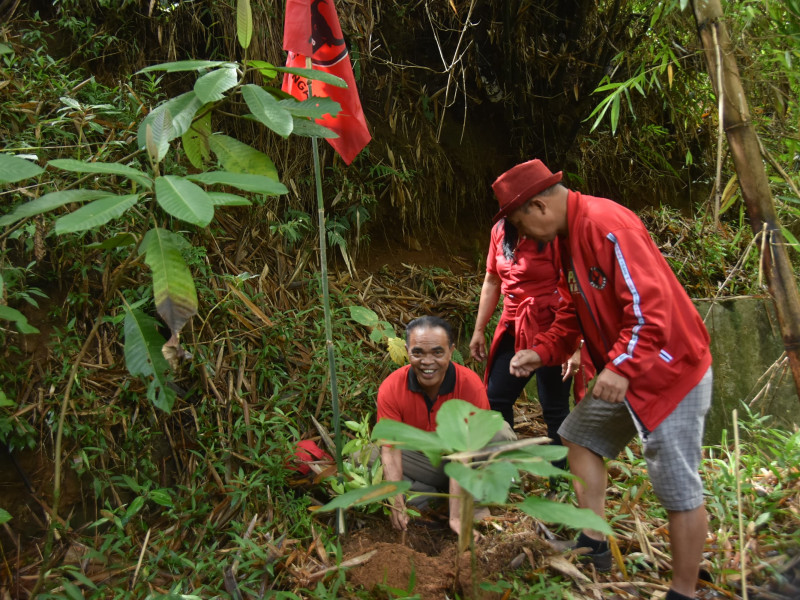 Berpolitik Sembari Merawat Alam, PDIP Manggarai Tanam Pohon di Sekitar Wae Reget