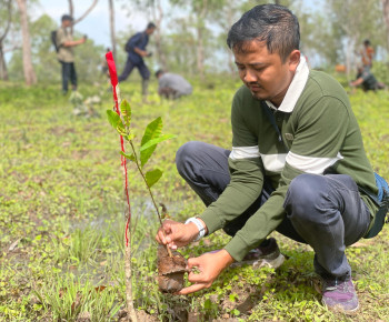 Aksi Tanam Pohon Serentak, PLN UIP Nusra bersama UPT KPH Wilayah TTS Sebar Ratusan Bibit Pohon