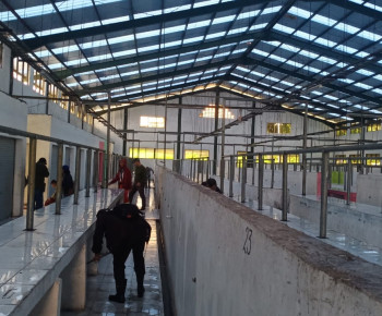 Relokasi Pedagang Ikan Segar di Paris Ruteng, Pemkab Manggarai Bersih-Bersih Pasar Puni