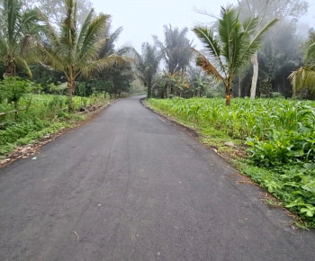 Pembenahan Jalan Menuju PLTP Mataloko, Pedagang: Omzet Penjualan Meningkat