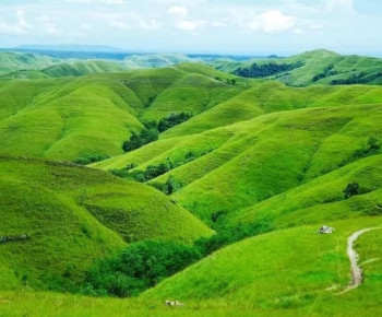 4 Desa Wisata Destinasi Asia Terbaik 2025 Versi Time Out di Sumba