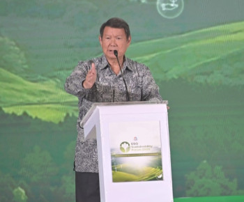 Peran Aktif PLN di Perdagangan Karbon Raih Apresiasi Hashim di Forum ESG