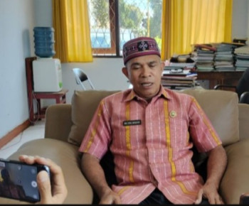 DPMD Manggarai Dorong para Kades Anggarkan Pelatihan Optimalisasi Website Desa