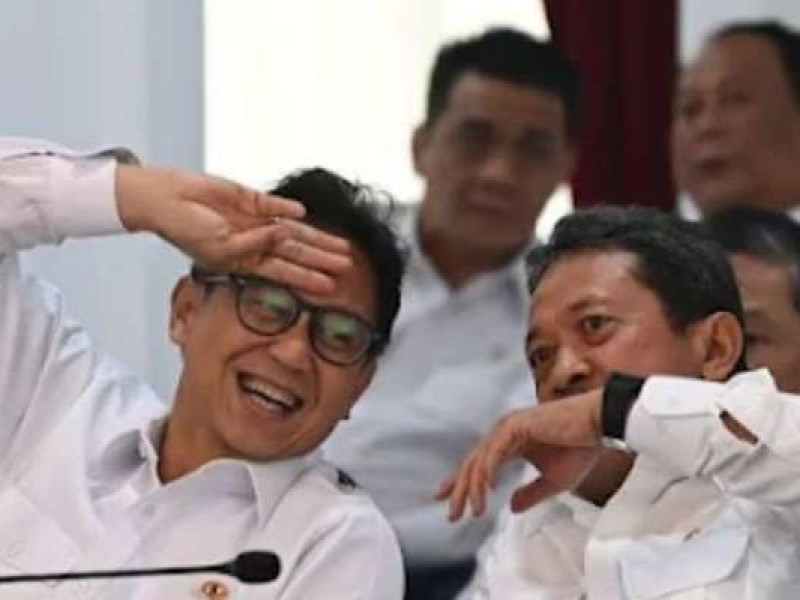 Jokowi Bos