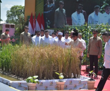 Satu Juta Hektar Rawa di Sumsel untuk Cetak Sawah Baru