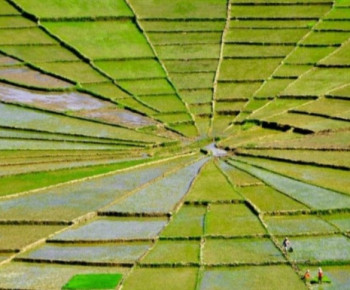 Gendang One Lingko Pe’ang: Pesan Norma Persatuan Holistik Manusia dengan Alam