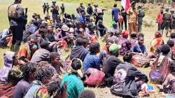 1003583142 1003583142