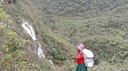 1003583312 1003583312