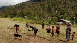 1003583478 1003583478