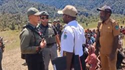 1003583491 1003583491