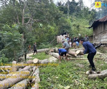 PLN Gercep Bantu Mama Rosalia yang Ditimpa Musibah Pohon Tumbang di Desa Lungar