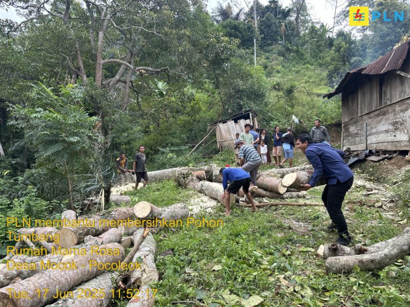 PLN Gercep Bantu Mama Rosalia yang Ditimpa Musibah Pohon Tumbang di Desa Lungar