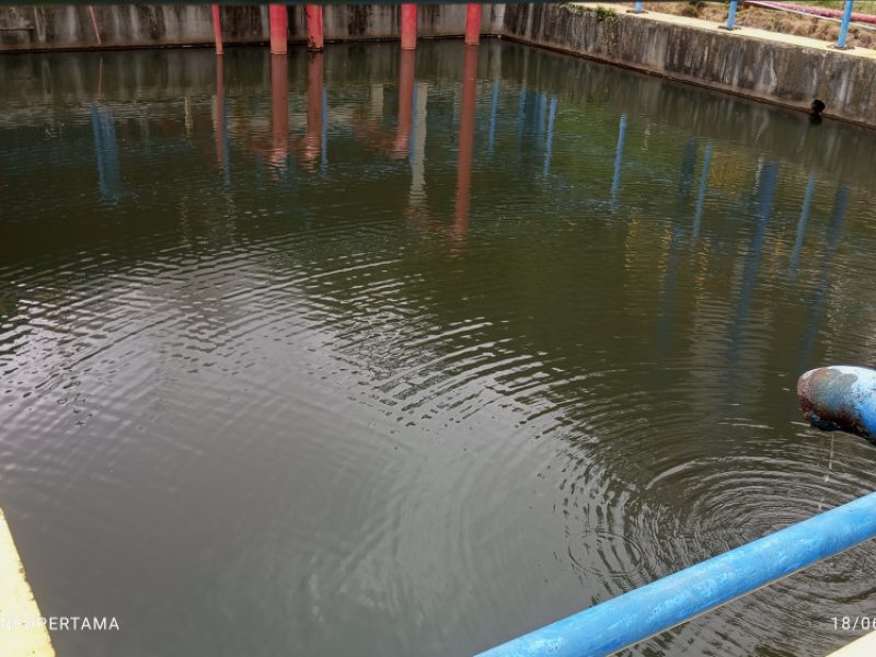 Kolam Ikan di PLTP Ulumbu, Tepis Isu H2S Gegara Geothermal