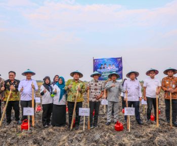 Tekan Kerugian Usaha Pertanian, Sekda Jateng Apresiasi Program Gerakan Menanam Anti Rugi