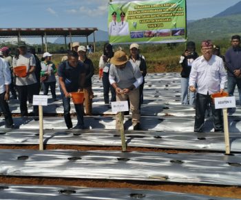 Lahan Tidur Seluas Dua Hektare Disulap Jadi Tanaman Holtikultura dan Agrowisata