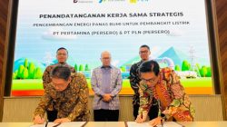 PLN–Pertamina Kunci Kerja Sama Pengembangan Geothermal Nasional, Didukung Langsung Danantara