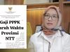 Nominal Gaji PPPK Paruh Waktu, 22 Daerah di NTT Sesuai Ketetapan Menpan-RB