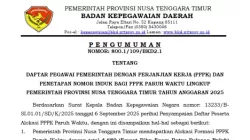 Daftar 4.680 Peserta Alokasi & Penetapan Nomor Induk PPPK Paruh Waktu NTT  2025