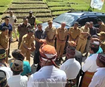 Dikeluhkan Wisatawan, Hery Nabit Pastikan Ruas Rampasasa – Pau Hotmix Tahun Depan