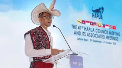 PLN Dorong Interkoneksi ASEAN Power Grid untuk Akselerasi Transisi Energi Bersih