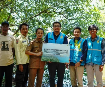 7000 Bibit Mangrove untuk Desa Padak Guar: PLN UIP Nusra Teguhkan Komitmen Jaga Lingkungan Ring 1 PLTU Sambelia