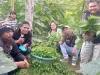 Membangun Mental Kewirausahaan Orang Muda dengan Pendekatan Lejong Edukatif dan Inspiratif