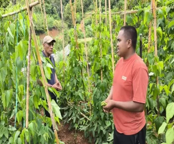Endik dan Harapan Baru dari Pelus: Ketika Anak Muda Memilih Menanam Masa Depan
