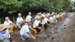 Hari Menanam Pohon Indonesia, PLN Grup NTB Tanam 5.000 Bibit Mangrove di Pesisir Lombok Timur
