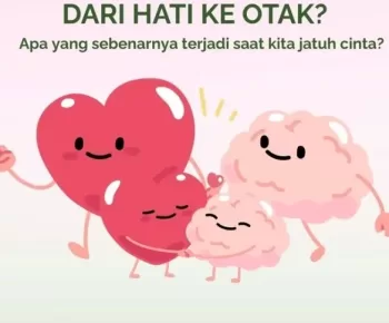 Di mana Letak Cinta Dalam Otak?