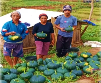 Arnoldus Bangkit: Harapan Tumbuh dari Pekarangan dan Pendampingan Inklusif